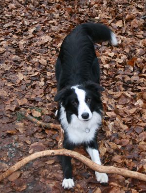 30010-12-2006 058.jpg